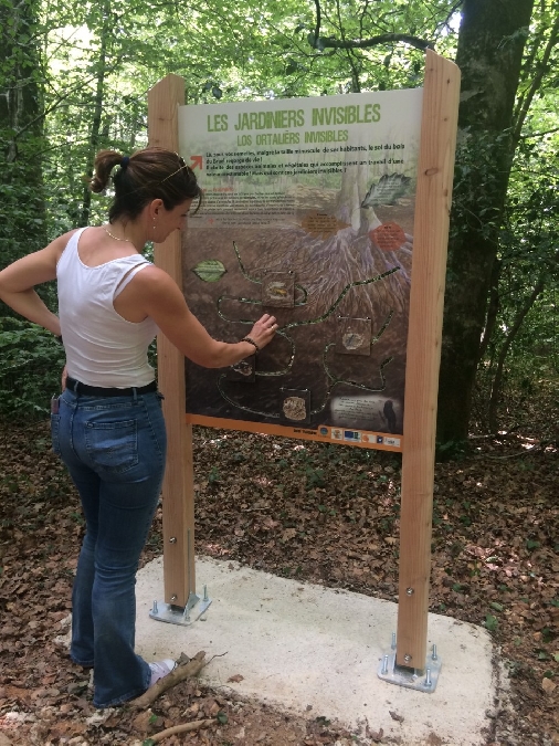 Sentier d'interprétation du bois du Bruel - Vabre-Tizac