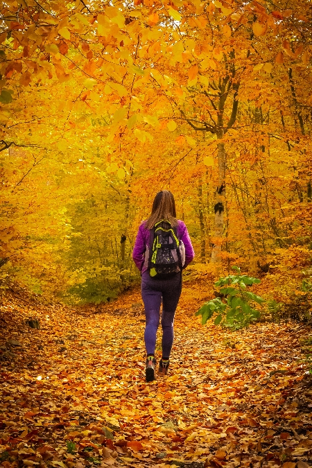 Randonnée avec les Caminaires de l'Olt al Dourdou (Téléthon)