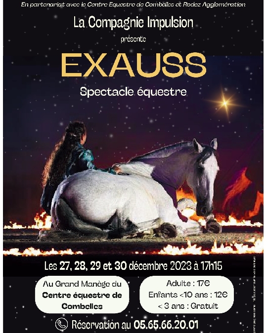 Spectacle équestre 