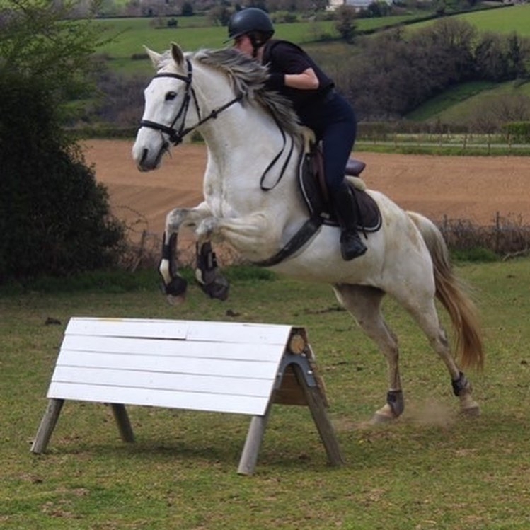 Ségala Lévézou Equitation