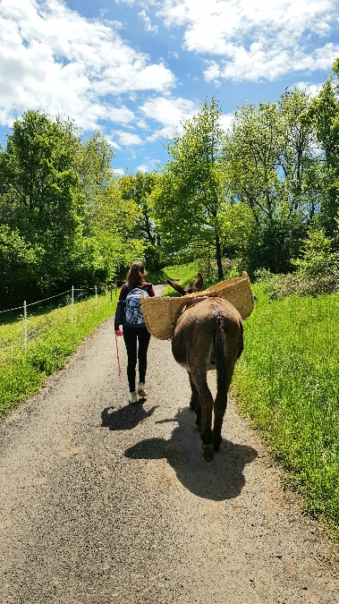 Randonnée avec les ânes  France Occitanie Aveyron Brommat 12600