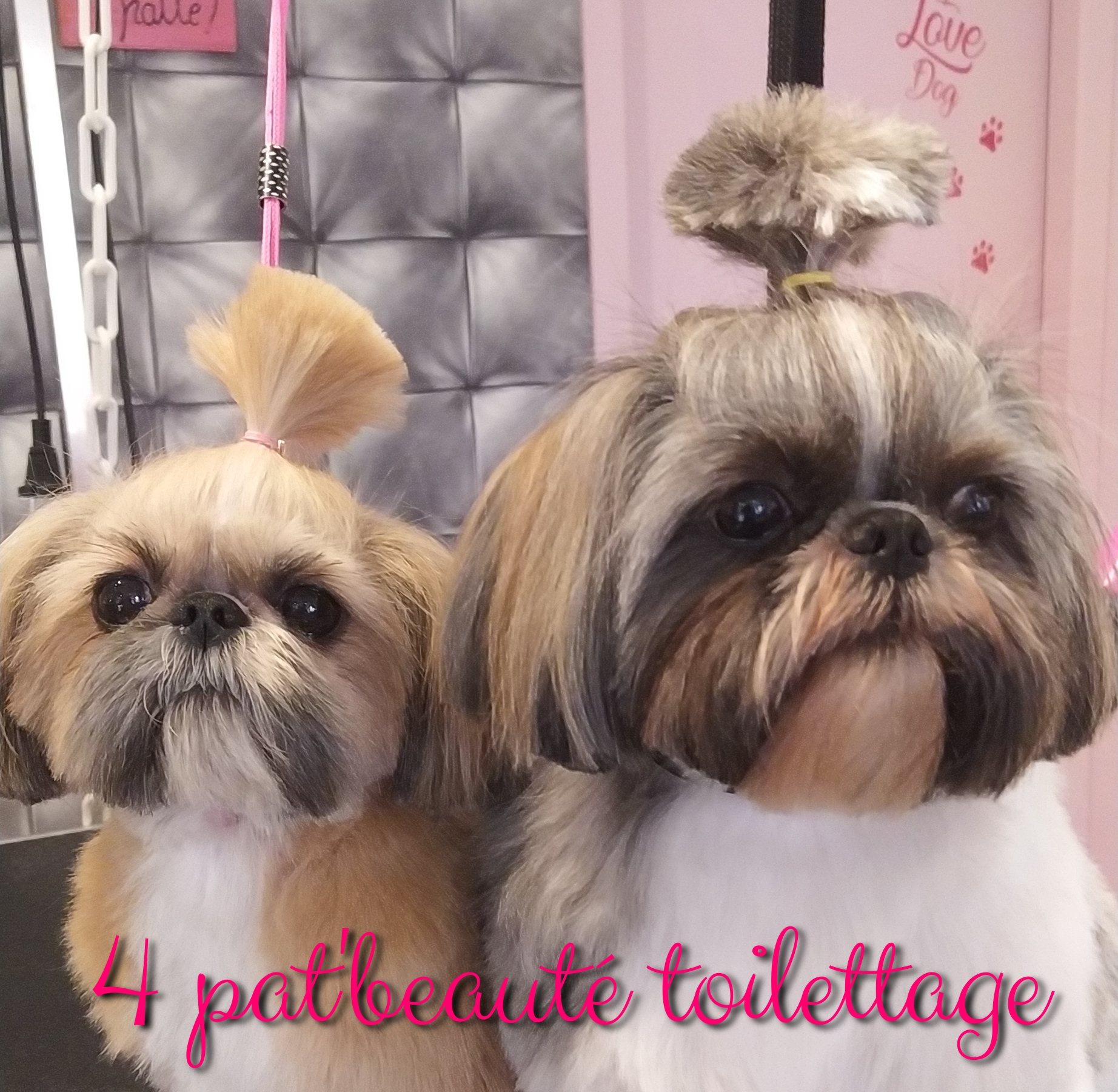 4 Pat'Beauté Toilettage, 4Pat'Beauté Toilettage