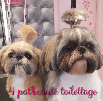 4 Pat'Beauté Toilettage, 4Pat'Beauté Toilettage