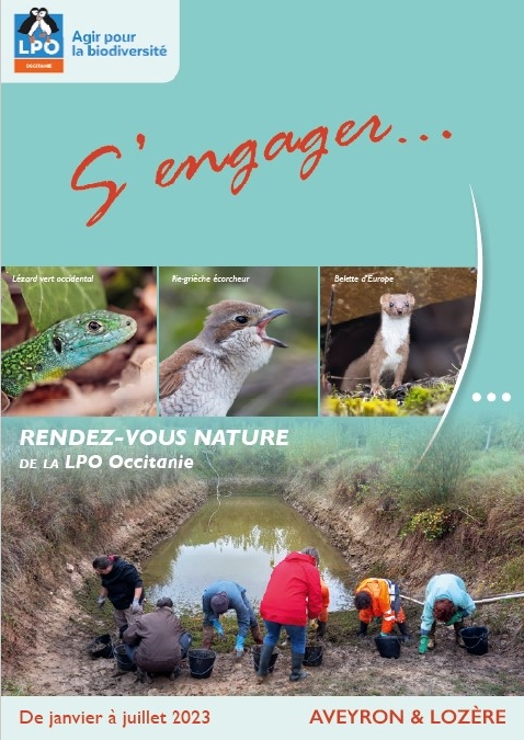 Cincle plongeur, bergeronnette des ruisseaux et chants d'oiseaux - LPO Occitanie Aveyron