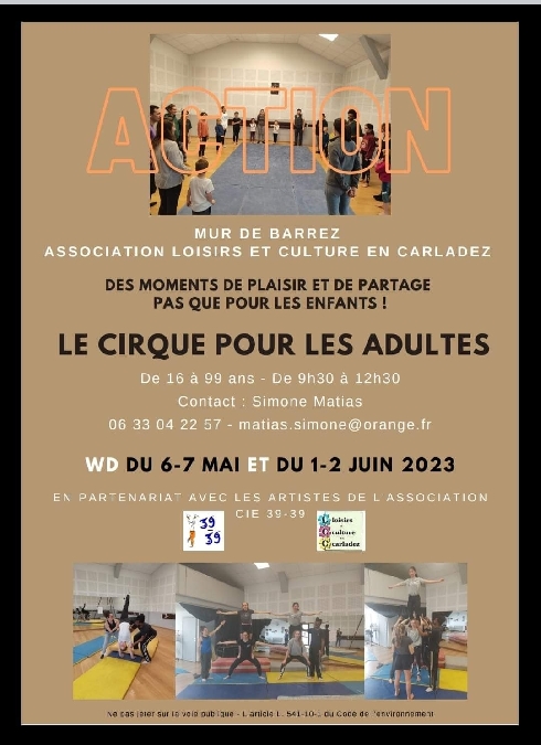 Stage de cirque adultes