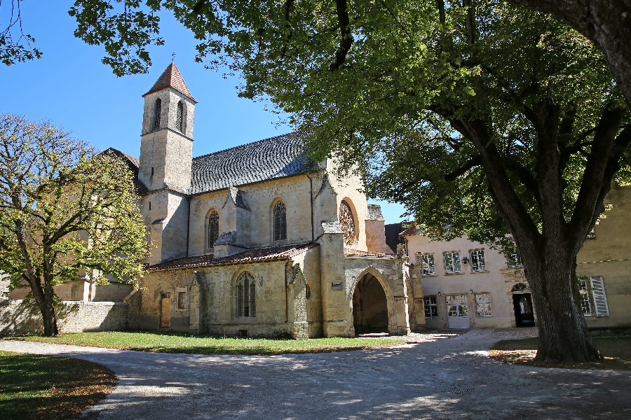 Visite guidée classique de la chartreuse Saint-Sauveur