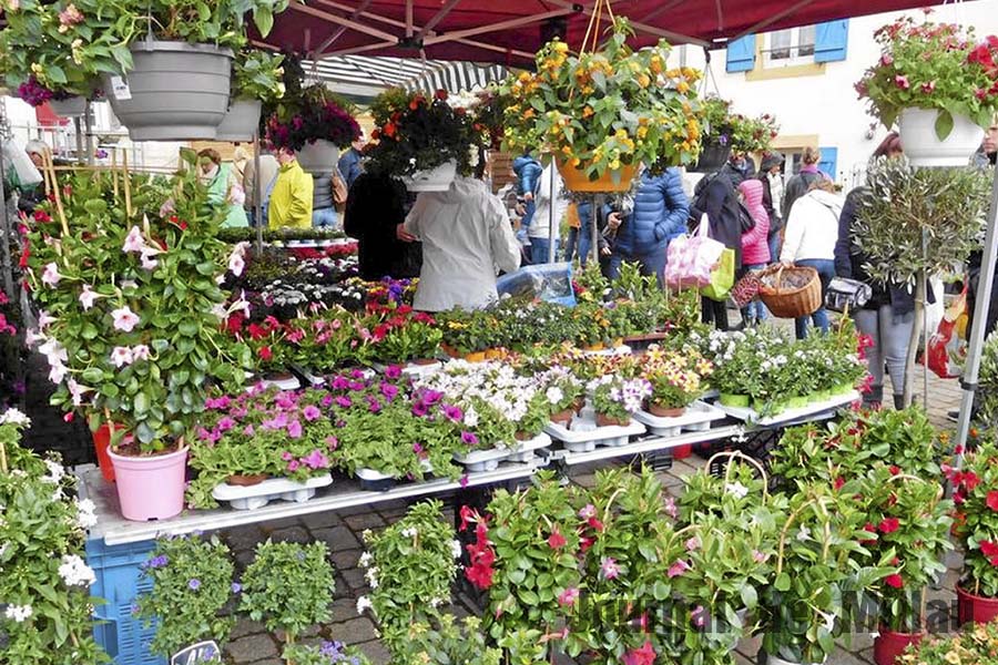 Marché aux Fleurs de l'Ascension à Sévérac-le-Château