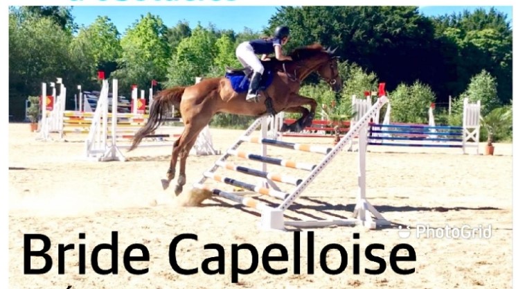 concours de saut d'obstacles  France Occitanie Aveyron La Capelle-Bleys 12240