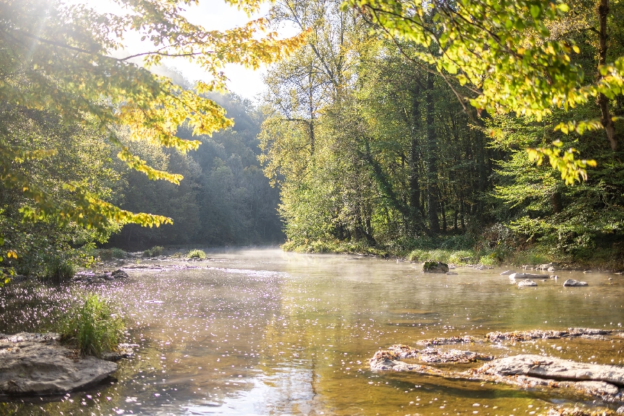 Balade-nature sur les bords de l'Aveyron à Najac