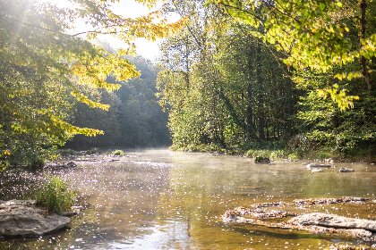 Balade commentée sur les bords de l'Aveyron à Najac, OT Villefranche-Najac