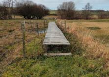 BICENTENAIRE de J.H. FABRE: BALADE NATURALISTE