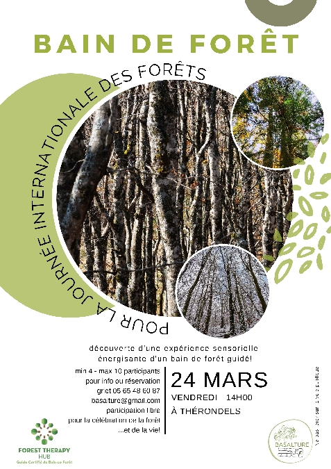 Bain de forêt
