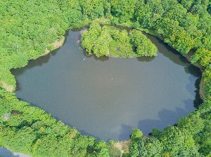 Pêche au lac des Picades à Brameloup Du 17 mai au 15 sept 2024