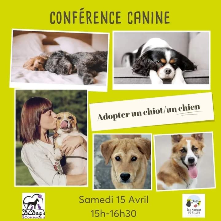 Conférence Canine 