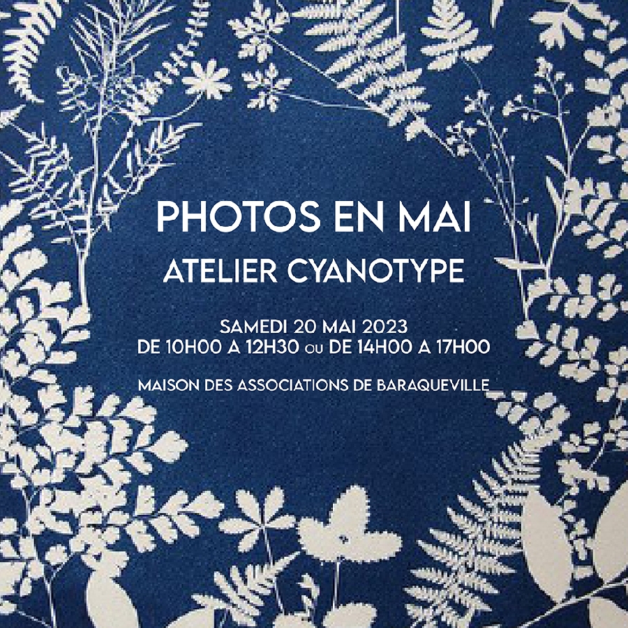 Atelier cyanotype avec Lisa Gervassi - Photo en mai