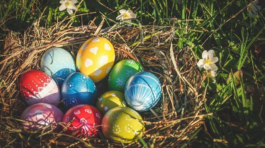 Chasse aux oeufs à Beaucaire