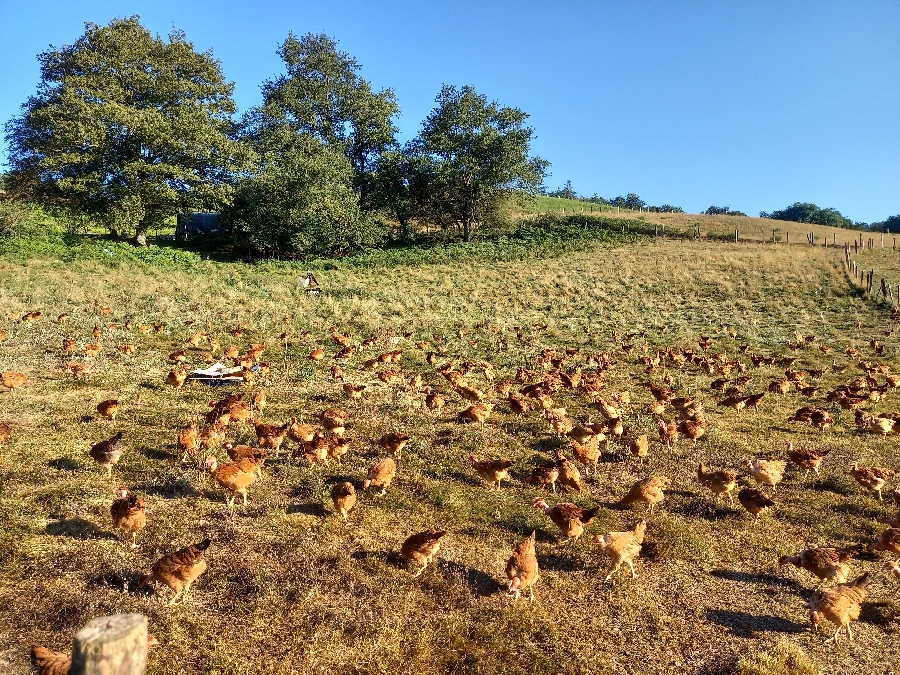 Ferme ouverte à la ferme du Vialaret