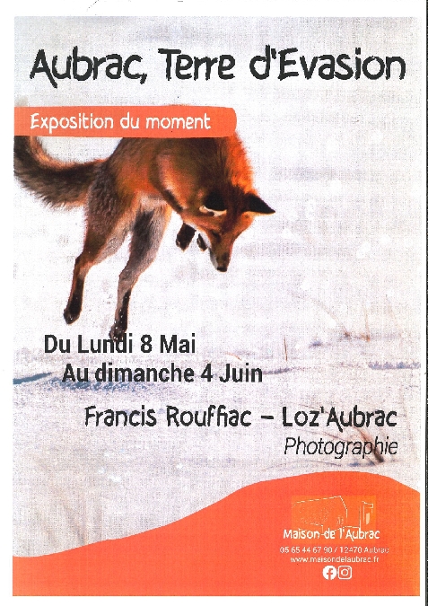 Exposition