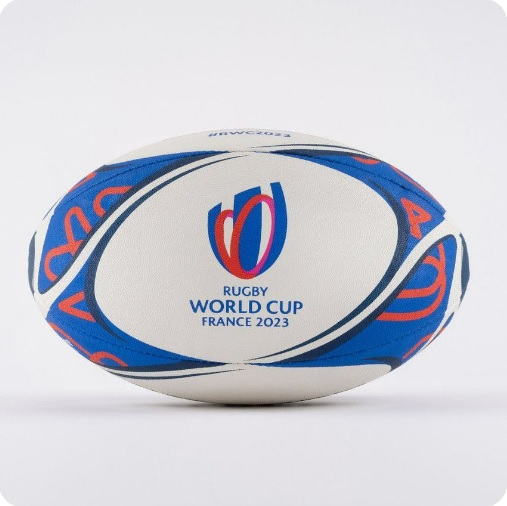Retransmission du match coupe du monde de rugby