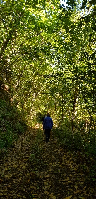 Randonnée dans la fraîcheur du matin 
