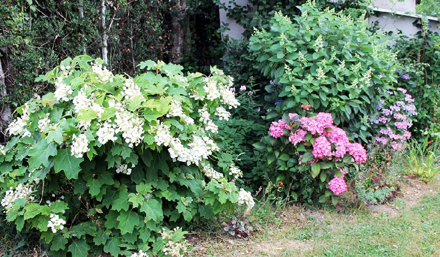 RENDEZ VOUS aux jardins