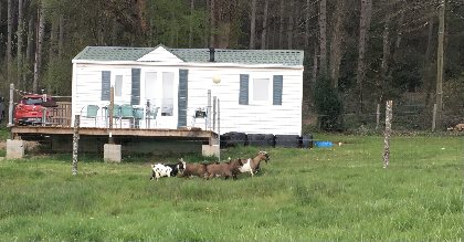 Le Mobile home du Parc animalier Le Saint Hubert , Parc animalier Saint Hubert