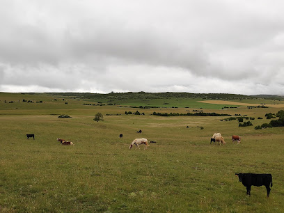 Balade paysanne et gourmande à la ferme des Licornes d'Aphrosy