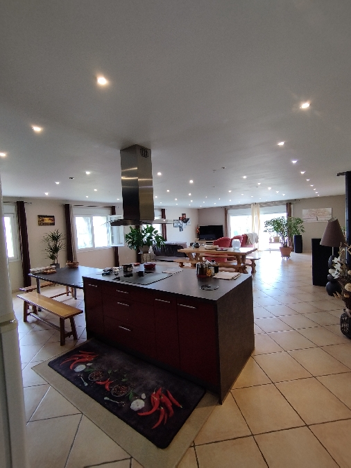 , macaine.vincent@gmail.com