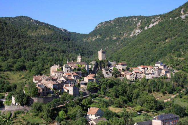 1ers pas d'ornitho à Peyreleau