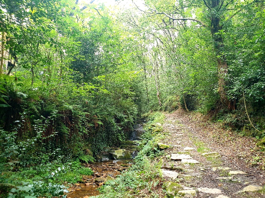 N°19 VTT - À fond les vallons ! null France null null null null