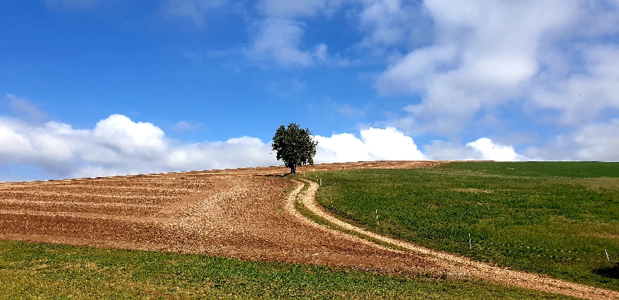 N°11 the foothills of the Loubière