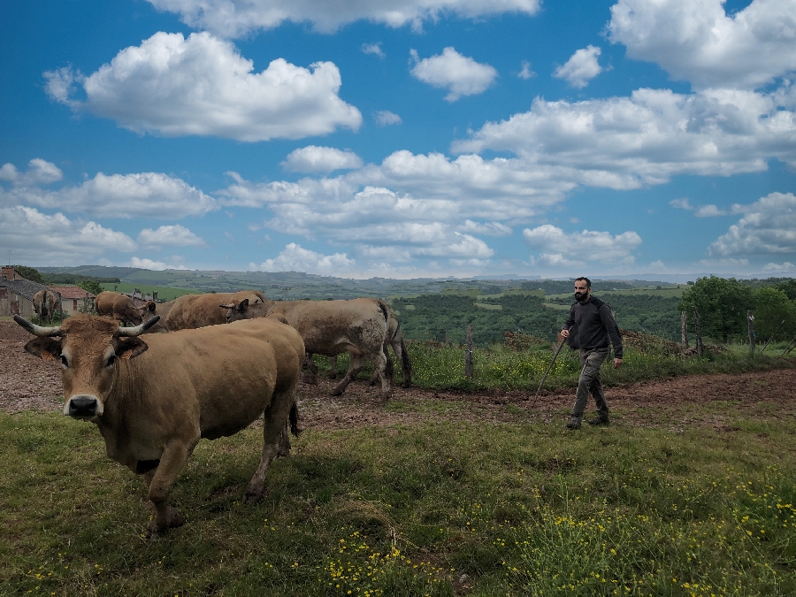 Visite à la ferme Chez Mathieu