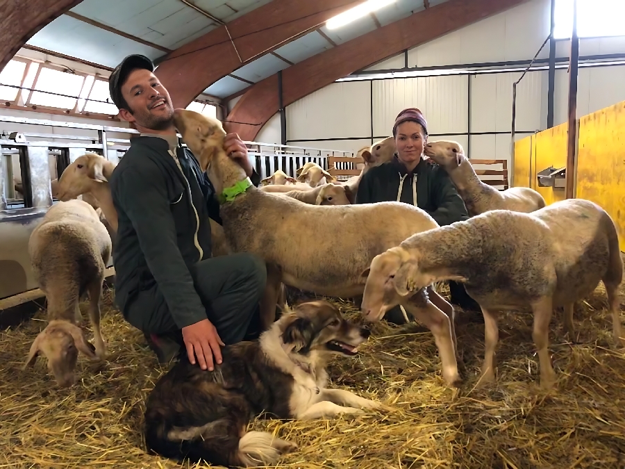 Visite à la ferme Chez Alice et Sylvain