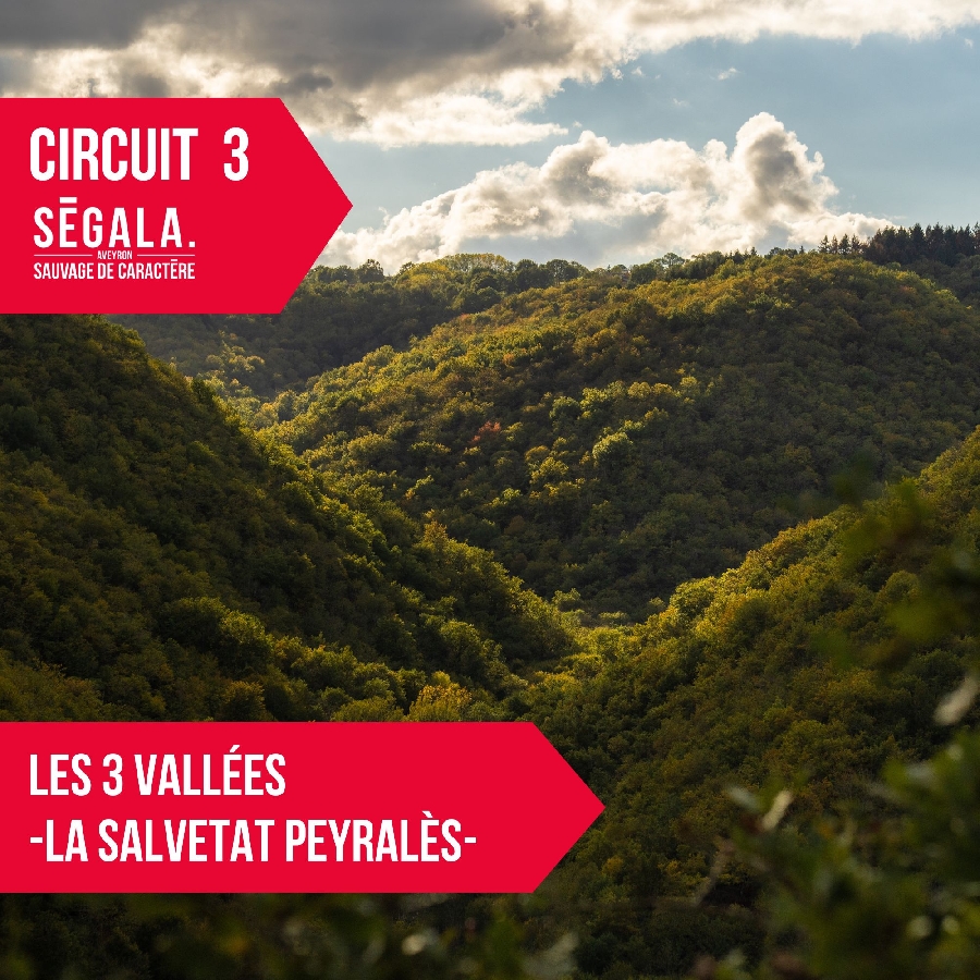 circuit VTT VAE - Les 3 vallées - La Salvetat Peyralès