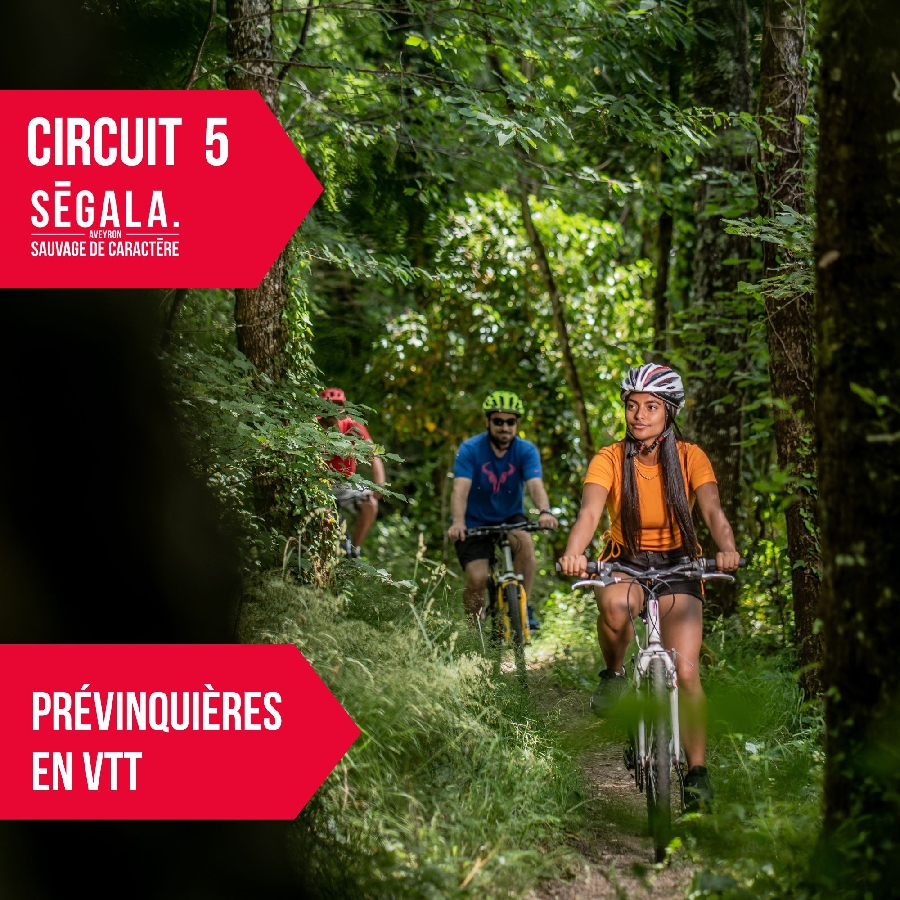 circuit VTT VAE - Prévinquières en VTT