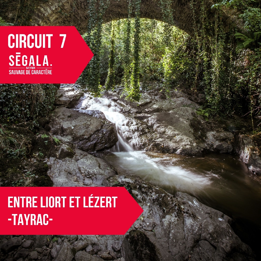 circuit VTT VAE - Entre Liort et Lézert - Tayrac