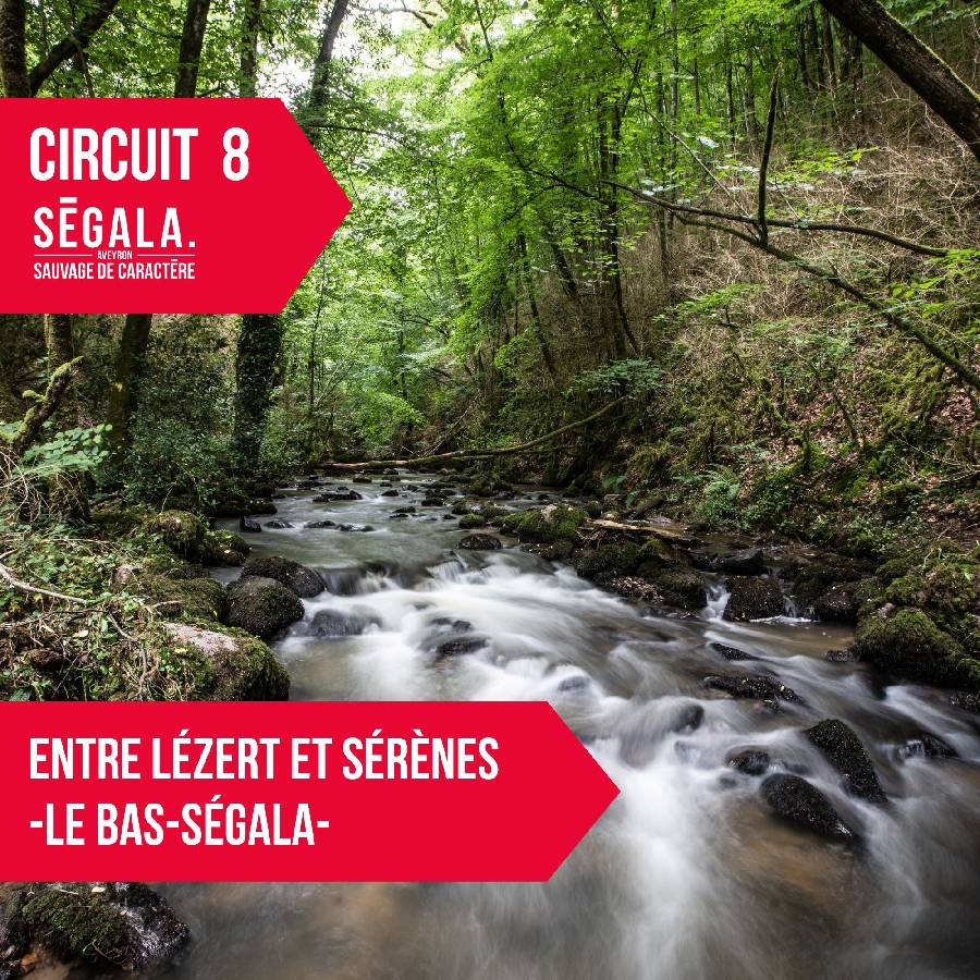 circuit VTT VAE - Entre Lézert et Serènes - Le Bas Ségala