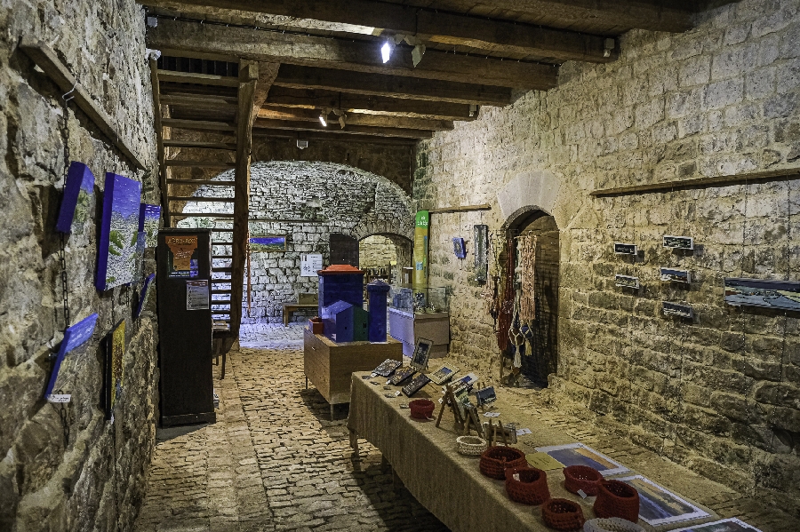 Exposition