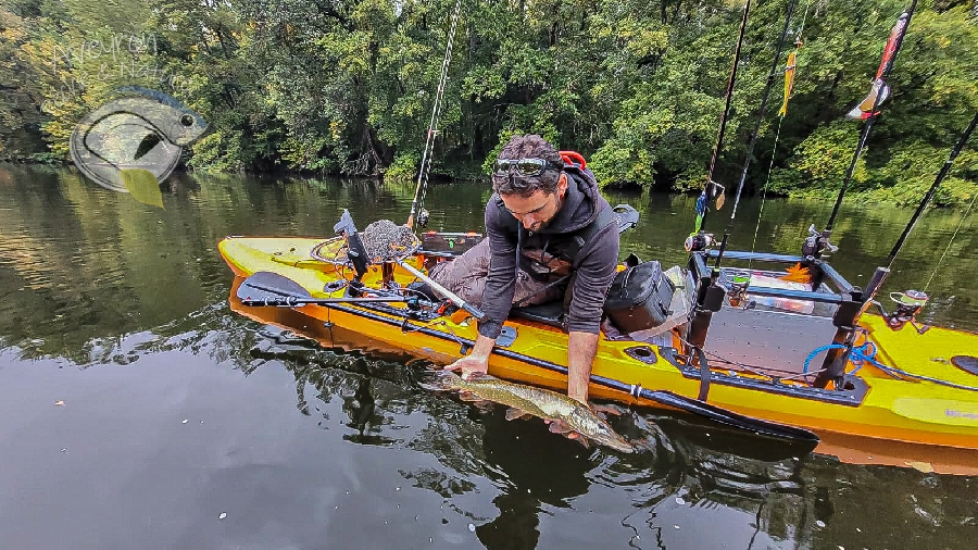 , Aveyron Pêche et Nature