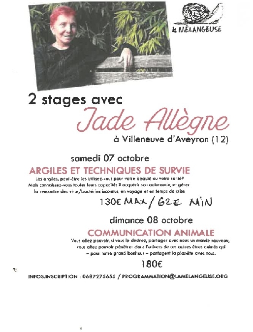 Stage de communication animale