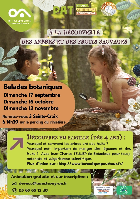 À la découverte des arbres et des fruits sauvages à Sainte-Croix