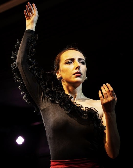 Spectacle musical : Flamenco del poeta