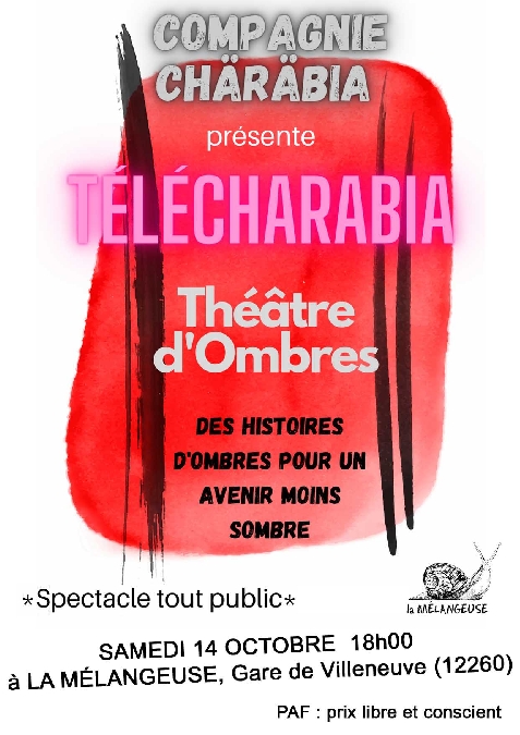 Spectacle d'ombres avec Télécharabia à la Mélangeuse