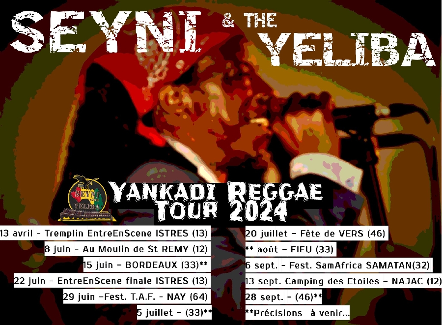 Concert SEYNI & THE YELIBA au Moulin Le 8 juin 2024