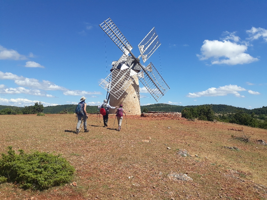 GR71 Tour du Larzac (1/1)