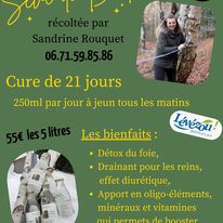 Séve de Bouleau fraîche et locale