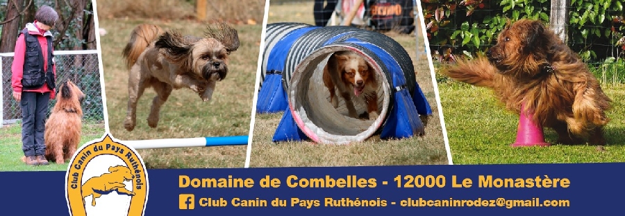 Concours Agility 24