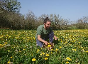 Balade plantes sauvages comestibles à Najac avec Michaël Fayret