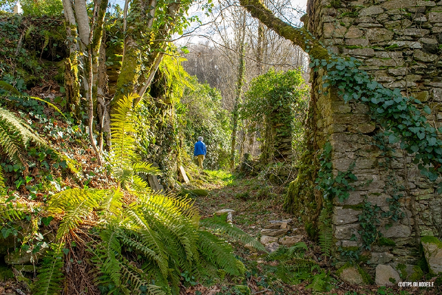 Site historique et archéologique de Jalenques