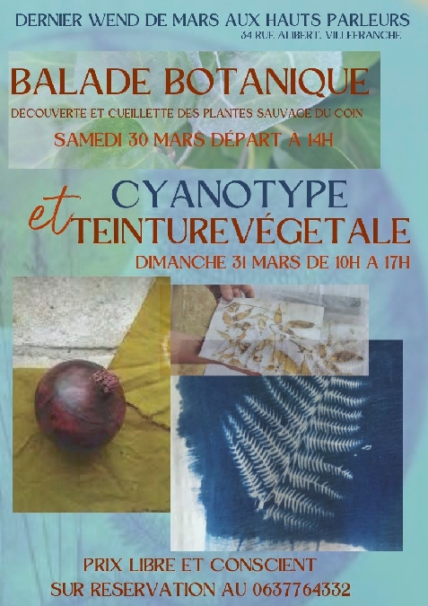 Atelier d'initiation au Cyanotype et à la Teinture Naturelle